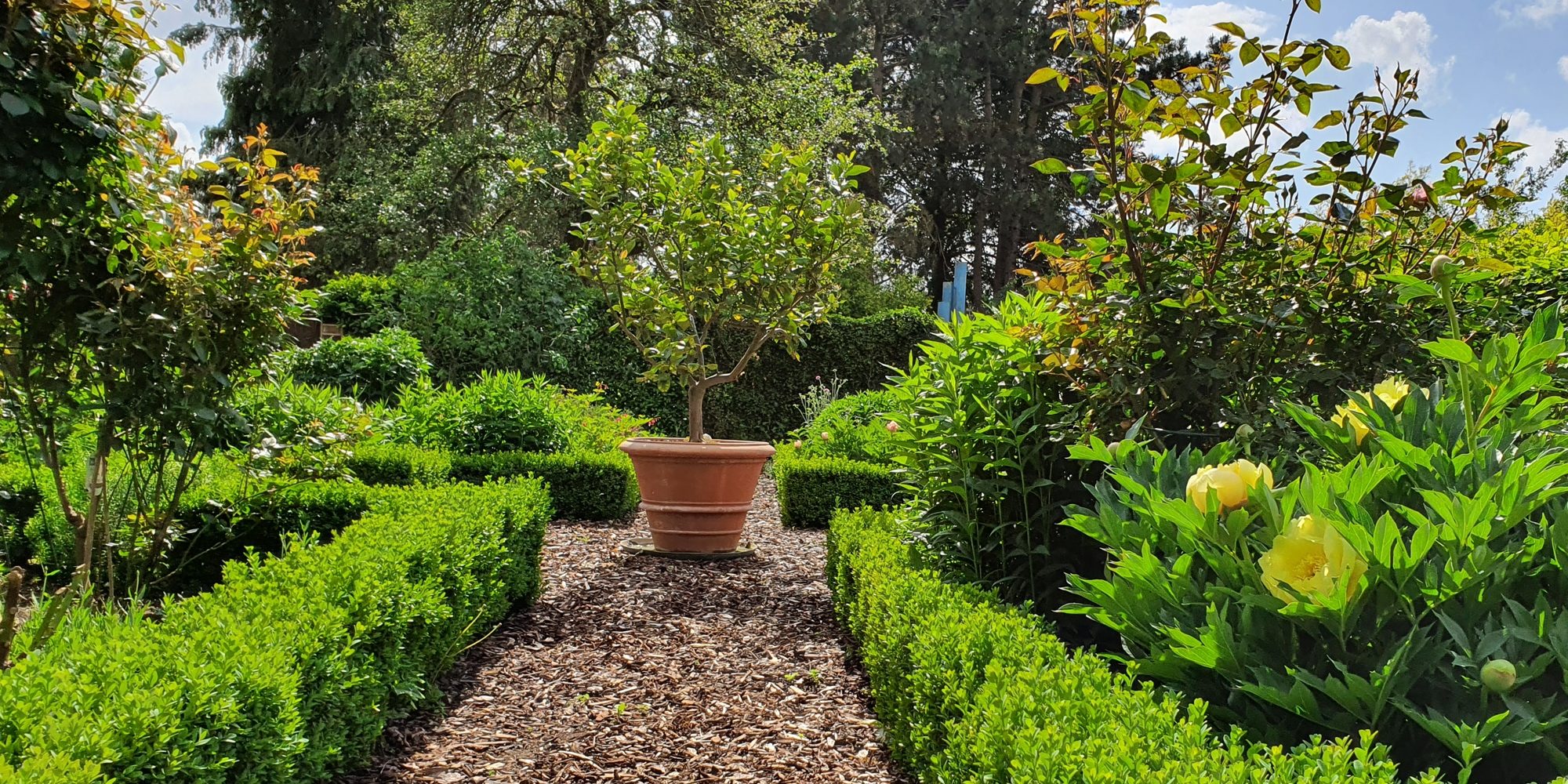 Staudengarten mit Impruneta